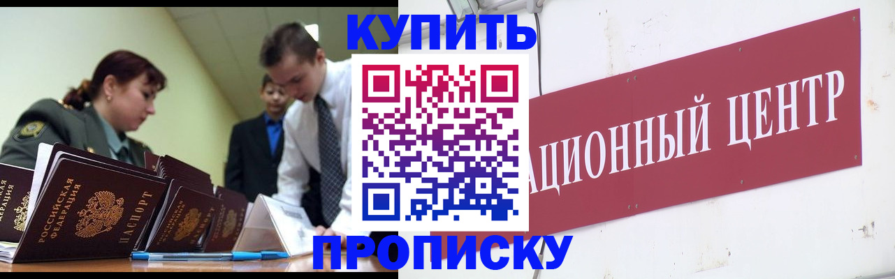 прописка поиск в Волоколамске