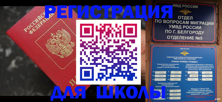 временная прописка в Волоколамске